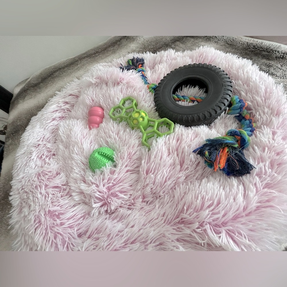 Enrichment Dog Bed